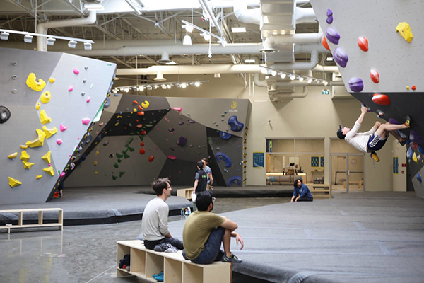 The Hive Climbing